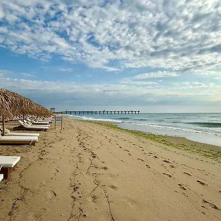 アパート Studio More *