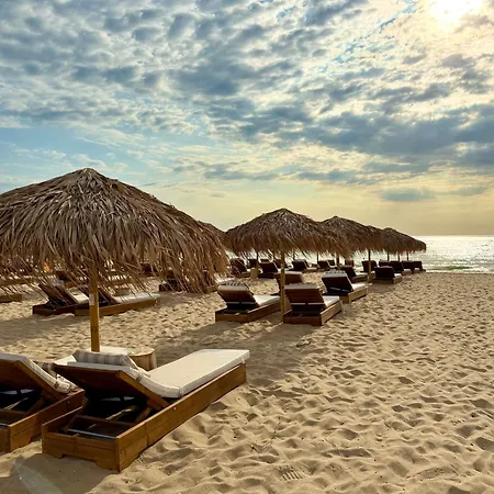 Studio More アパート シュコルピロフツ